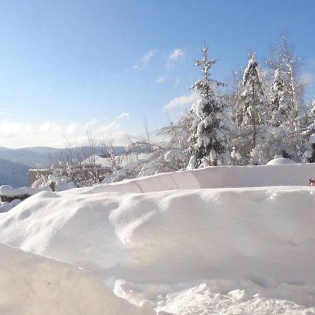 Laptitevosgienne VUE LAC à Gérardmer ! Exterior foto